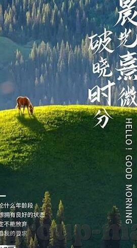 开云体育平台下载-优质体育资讯平台，掌握开云体育的最新内容