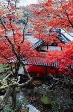 足球推介及比分-足球推介与比分预测，一场数据与直觉的博弈盛宴
